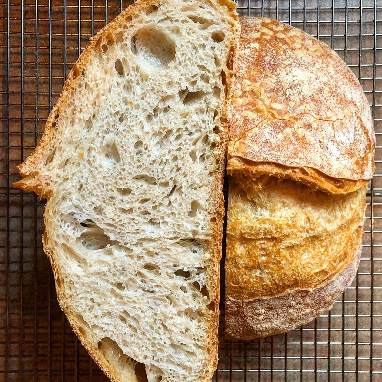 70% hydration, Caputo Pizzeria, poolish 16h RT, 44h CT, 5h RT, 850-900F :  r/uuni