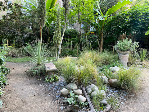 Bonnington square community garden