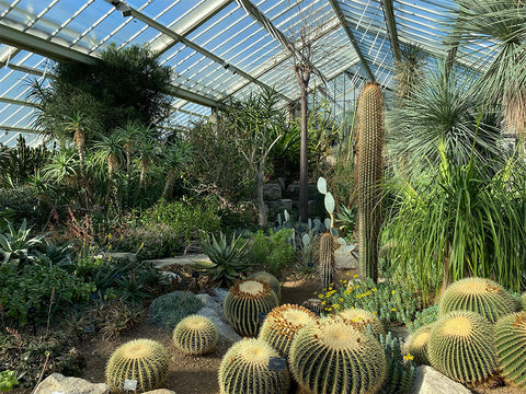 Kew Gardens