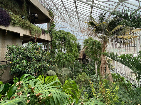 Barbican conservatory