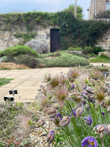 royal botanic garden Edinburgh, Scotland, explore Europe, nature, Scottish heritage, UK travel blog, nature lover