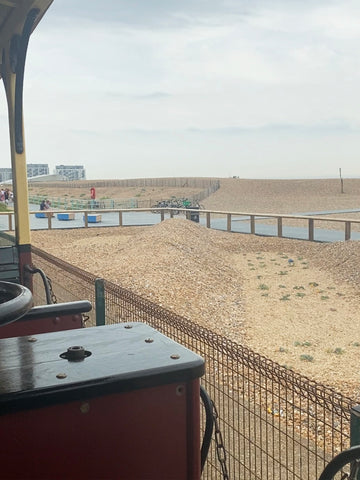 Brighton, English coast, beach, black rock, ecology trail, Kew Gardens, nature walks, volks electric railway 