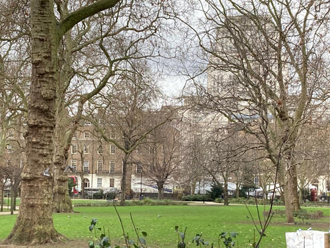 Russell Square Gardens, london, insect hotel, park