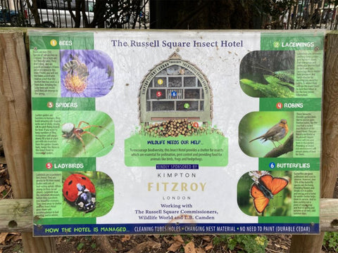 The Russell Square Insect Hotel