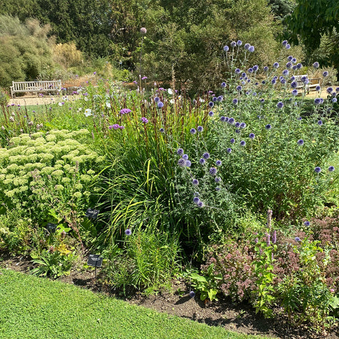 Cambridge university botanic garden, Gardens in the UK, Travel blog