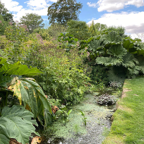 Cambridge university botanic garden, Gardens in the UK, Travel blog