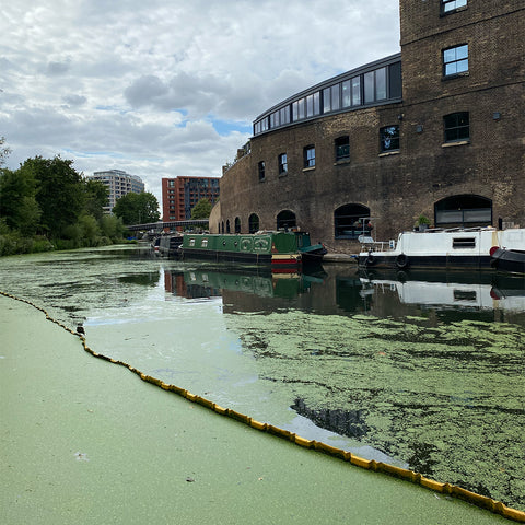 coal drops yard kings cross, regents canal, days out, Camley street natural park, wetlands in London, world wetlands day