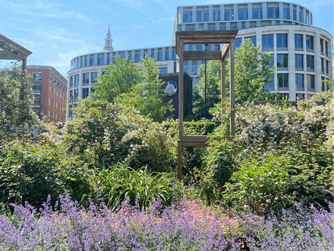 Christchurch Greyfriars Rose Garden, City of London gardens