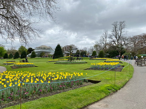 Glasgow Botanic gardens, kibble palace, explore scotland, secret gardens, river kelvin, travel blog, palm tree