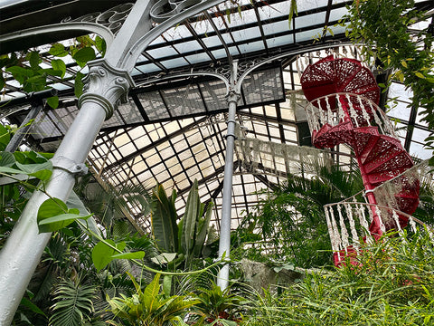 Glasgow Botanic gardens, kibble palace, explore scotland, secret gardens, river kelvin, travel blog, palm tree