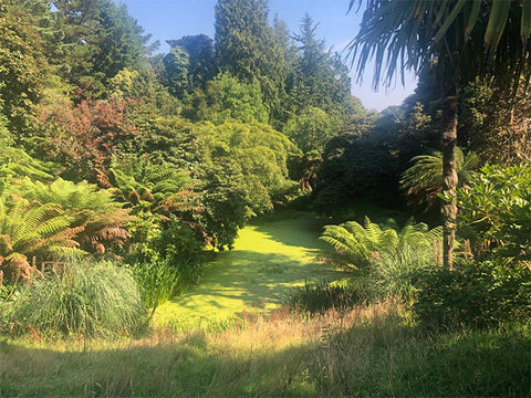 lost gardens of heligan, Cornwall, secret garden