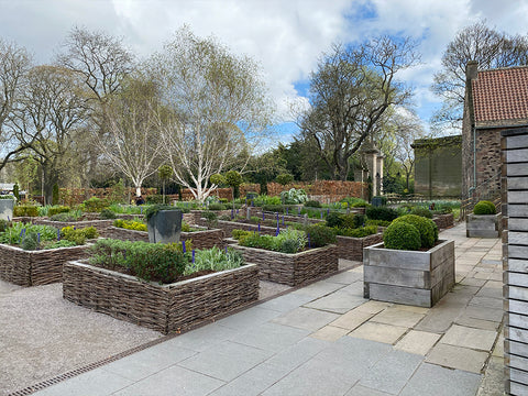 Edinburgh, botanic garden, physic garden, holyroodhouse palace, Scotland, travel uk, travel blog