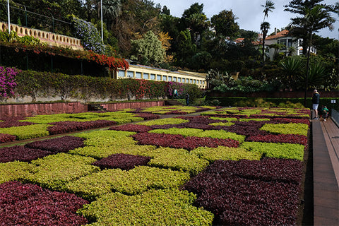 Madeira botanical garden, secret garden, travel blogger