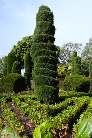 Madeira botanical garden, secret garden, travel blogger