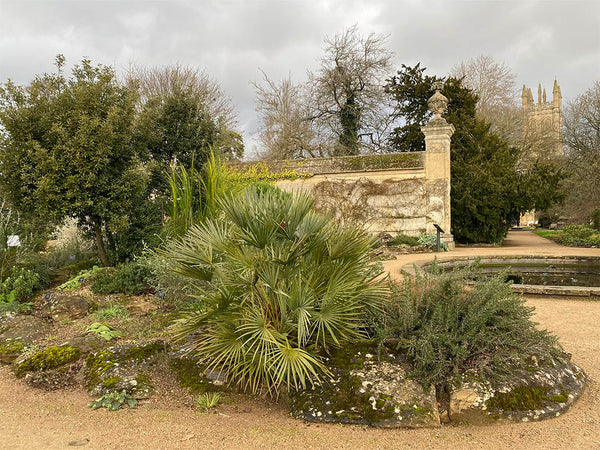 Oxford Botanic Garden