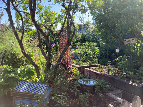 ham yard hotel roof terrace secret garden, with raised beds made from railway sleepers and 2 beehives