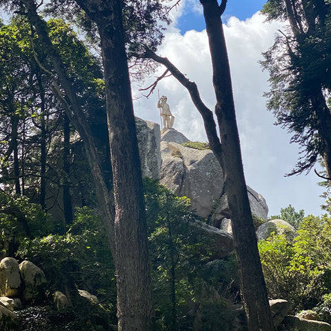 Pena palace sintra, national park of Portugal, days out in Portugal, history of the national palace of sintra