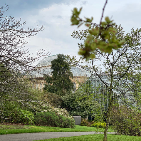 royal botanic garden Edinburgh, Scotland, explore Europe, nature, Scottish heritage, UK travel blog, nature lover