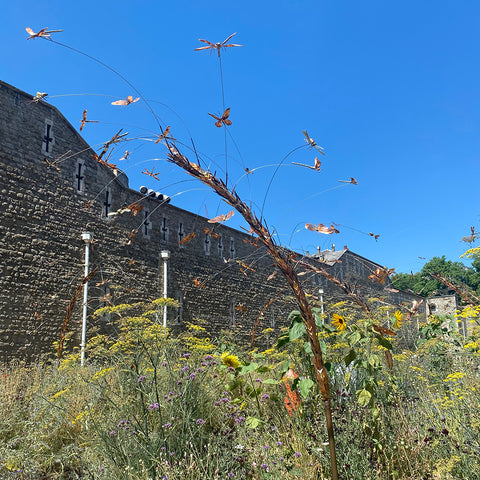 Superbloom at the Tower of London, wildflower meadow, things to do in London, floral display, sculpture 