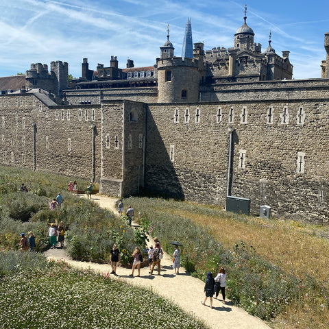 Superbloom at the Tower of London, wildflower meadow, things to do in London, floral display, sculpture 