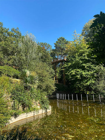 The treetop walkway in serralves park as seen from below