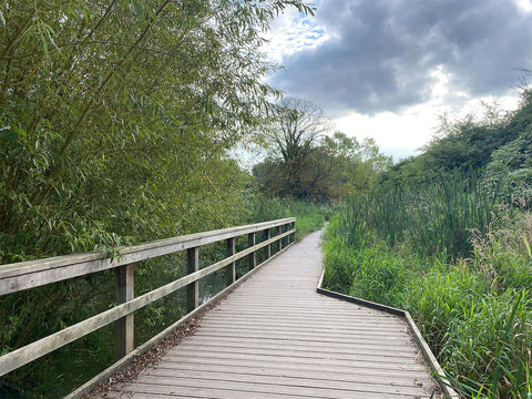 Morden hall park, wetland boardwalk, marsh, river wandle, heron