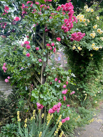 Inside the garden of Kelmscott House, home to William Morris textile artist