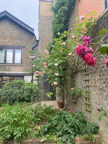 Inside the garden of Kelmscott House, home to William Morris textile artist