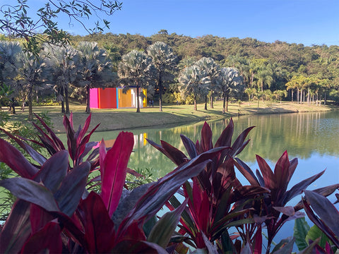 inhotim Brazil contemporary art sculpture park botanic garden