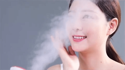 Nourishing Nano Ionic Face Steamer – cocobeautylux