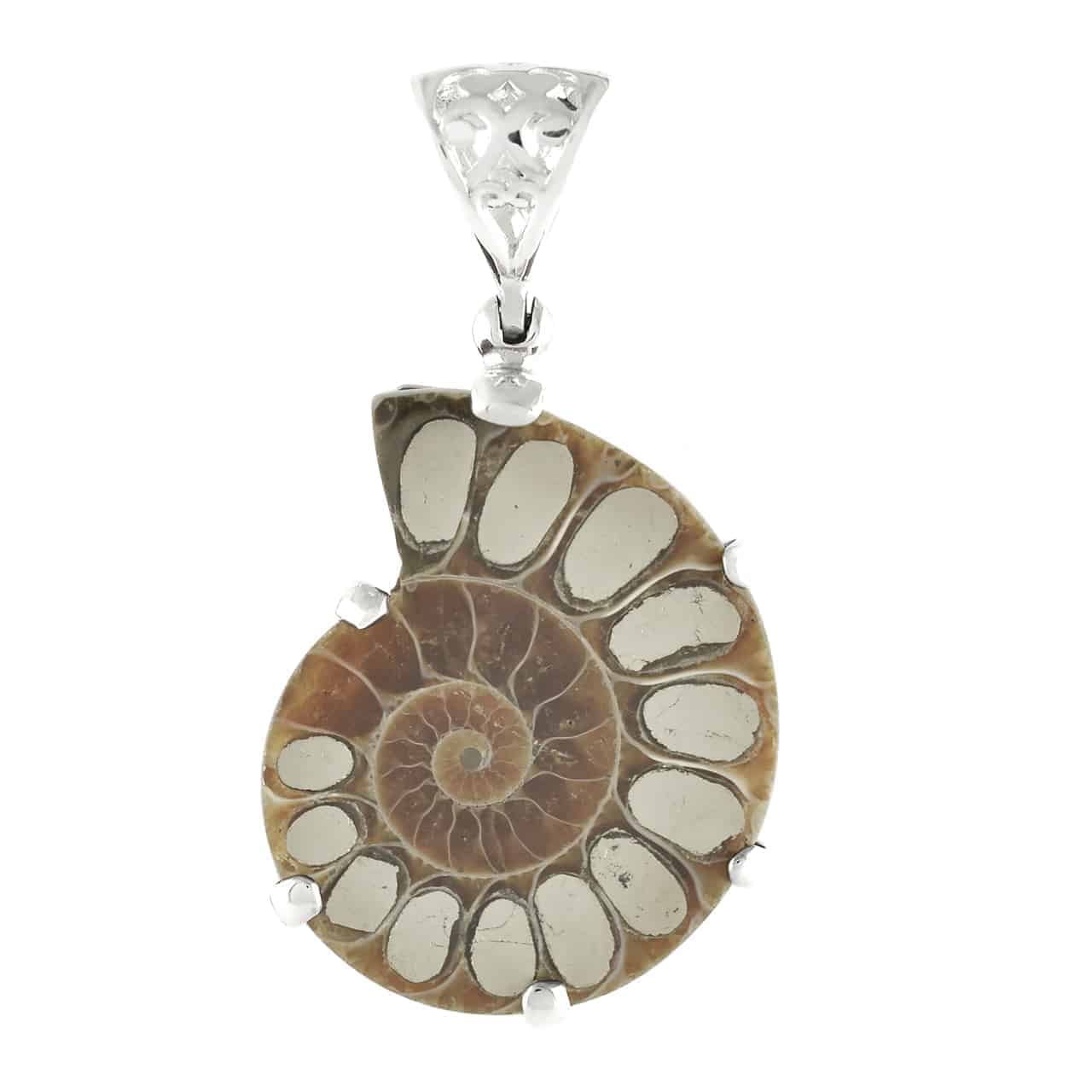 Starborn Pyrite Inlaid Ammonite Pendant in Sterling Silver with Filigree Bale - starborn.eu product image