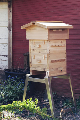 A Warre hive sitting on a Bee Built universal hive stand, raised above some vegetation. A red shed sits in the background.
