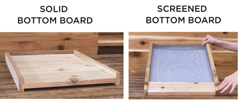 A comparison of a solid bottom board and a screened bottom board for a Langstroth hive