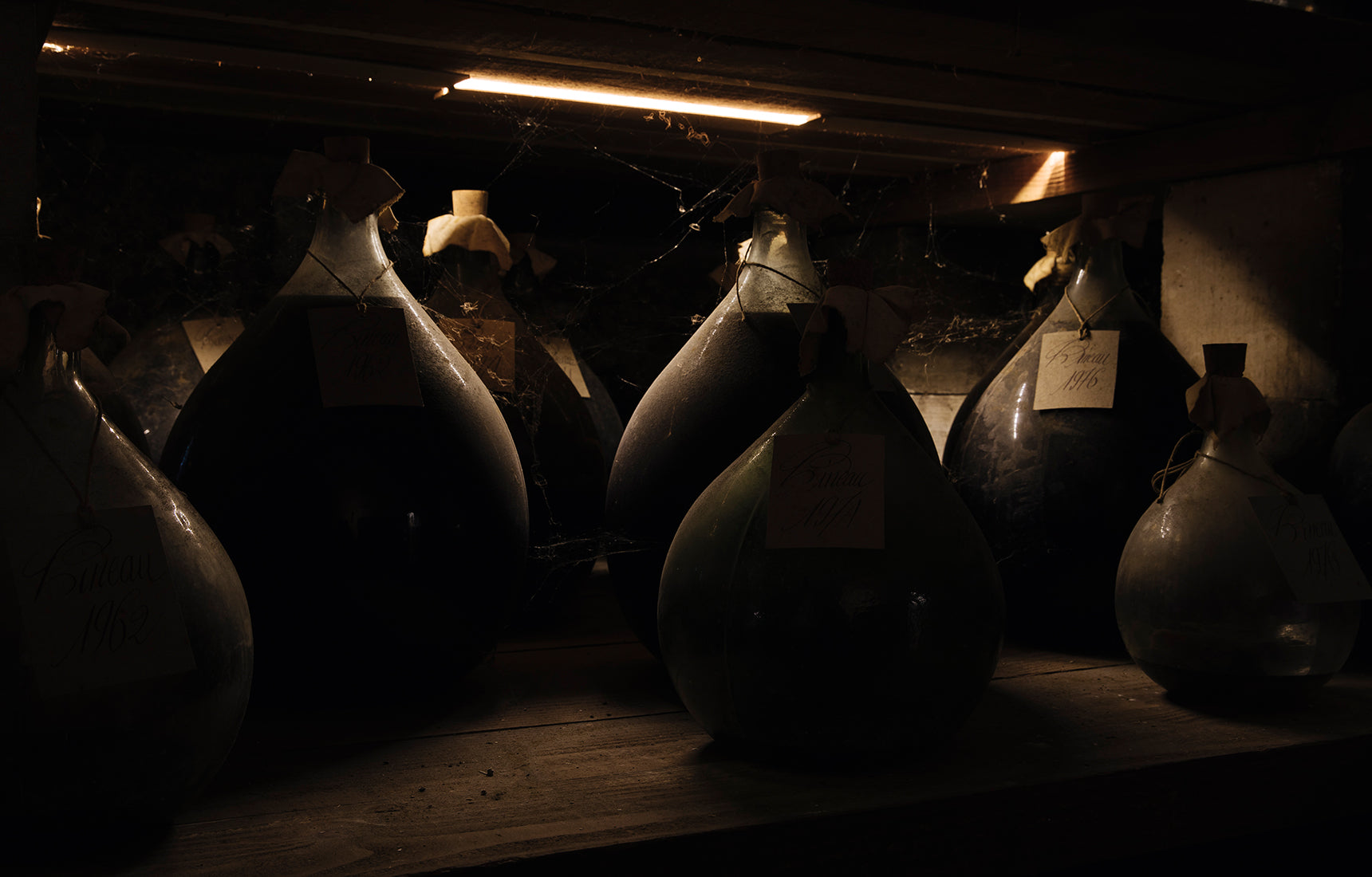 After distillation, the product proceeds to a dry cellar for 12 months and after which, a more humid ageing room. The humidity prevents evaporation. Photo by Cognac Lhéraud.