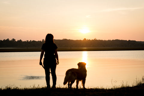 犬の散歩などにご使用いただけます。