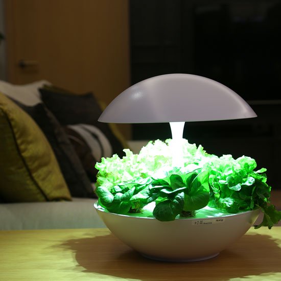 オリンピア照明 オリンピア照明 オリンピア照明 LED水耕栽培 植物育成