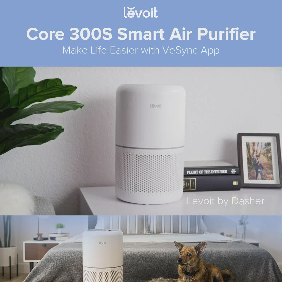 Levoit LV-H128 White Desktop True HEPA Air Purifier 3-Stage Filteration 10W  810043372466