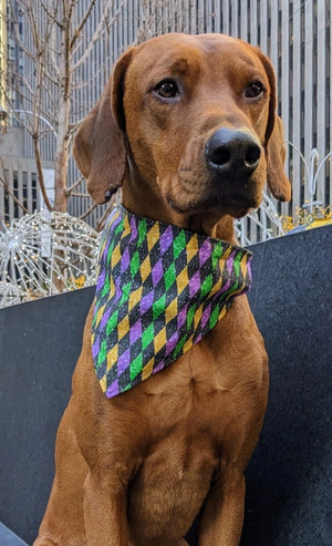 Koa's Ruff Life Bandanas - Dog Days Barkery