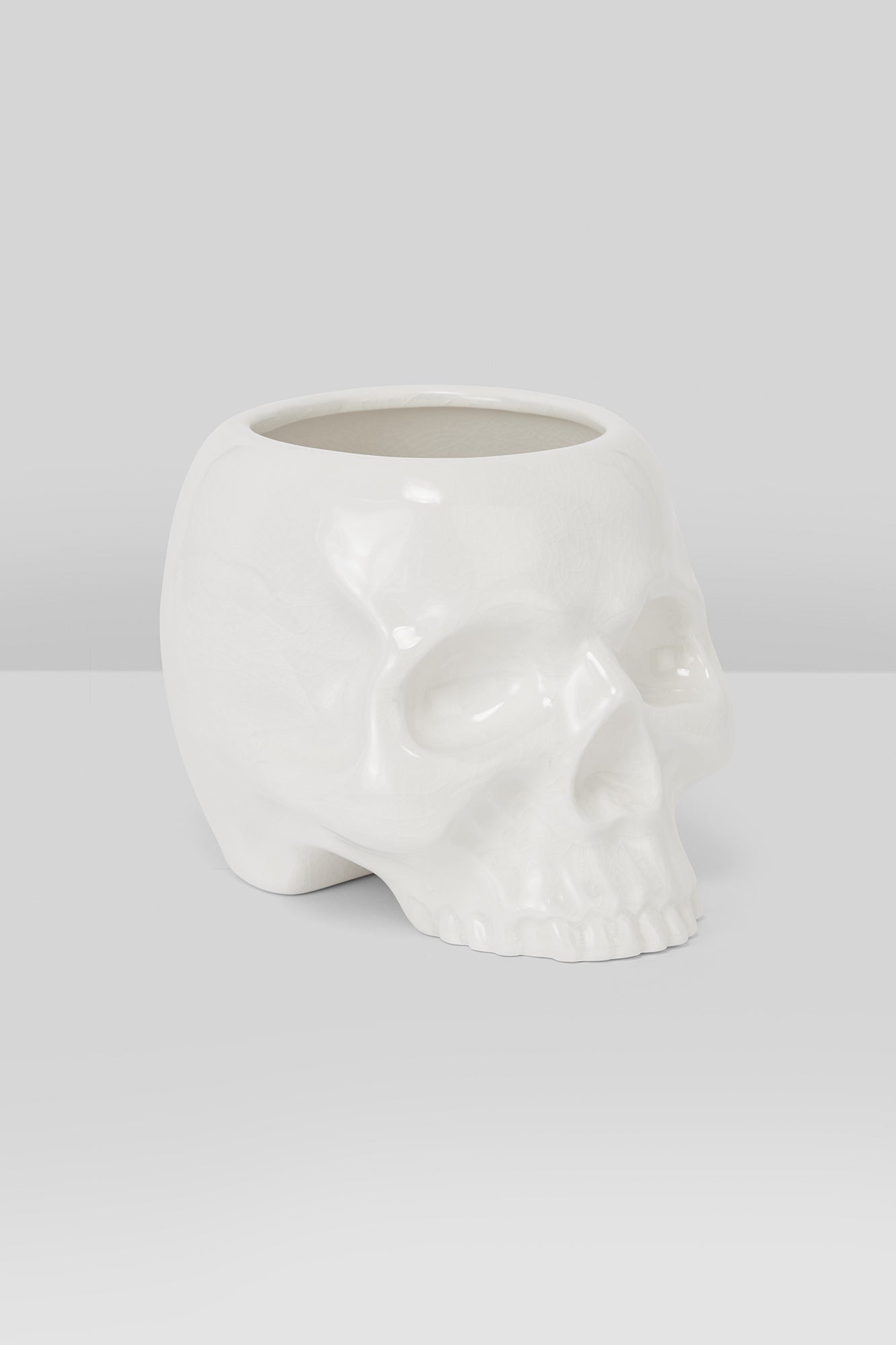 Cranium Planter