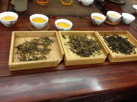 Tea tasting in Fangcun Tea Market, China