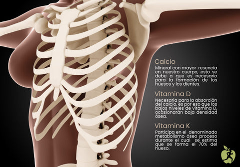 vitaminas para ossos