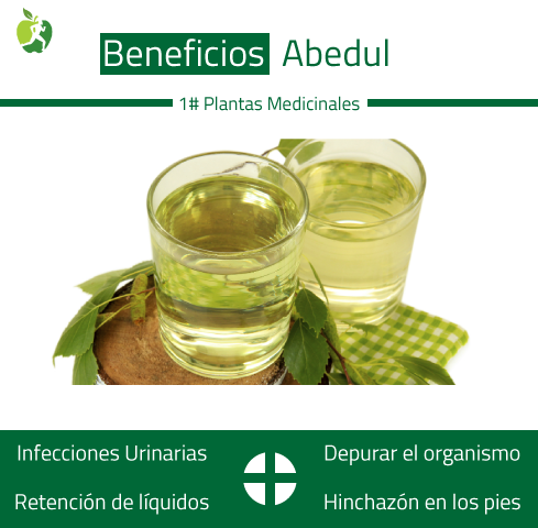 Beneficios Abedul - Dietetica Ferrer