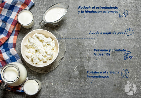 benefícios do kefir