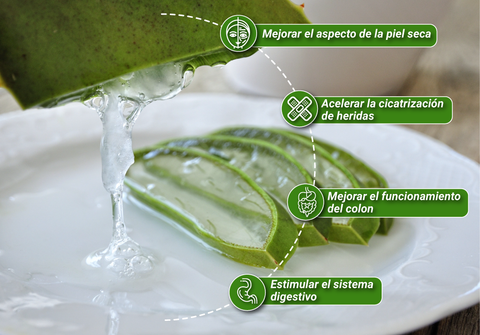 benefícios naturais do aloe vera