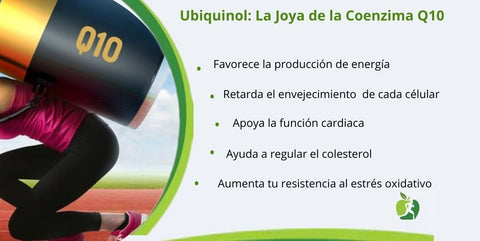 beneficios ubiquinol