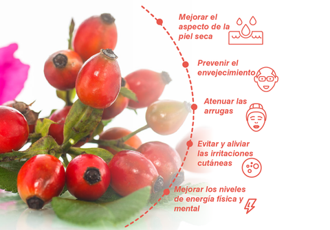 benefícios do óleo de rosa mosqueta puro