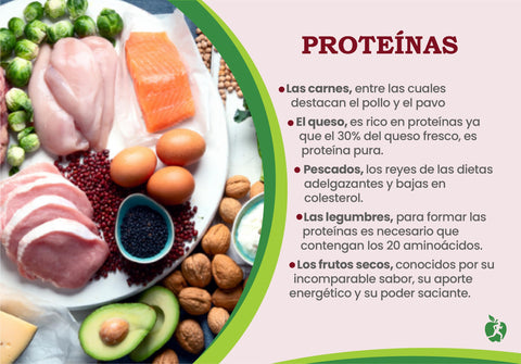 melhores alimentos proteicos