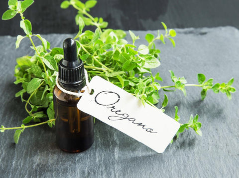 Beneficios del Oregano - Dietetica Ferrer