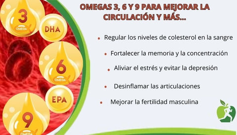 Para que sirve el omega 3 6 y 9