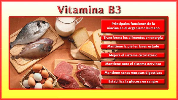 Vitamina B3 - Dietetica Ferrer